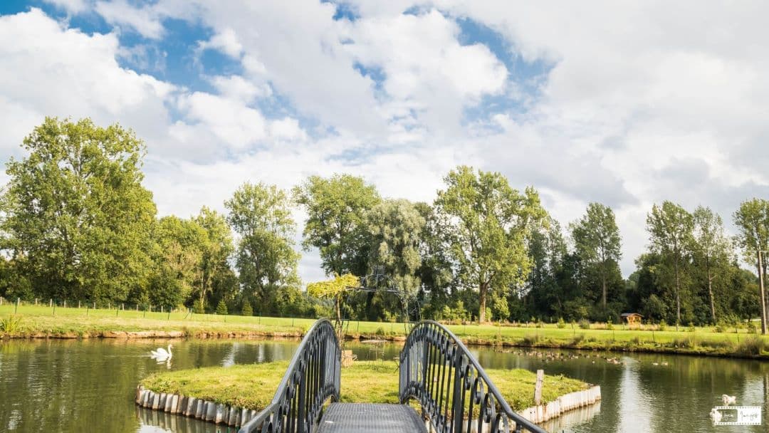 Découvrez Mizi Studio